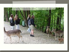 Wycieczka klas szóstych i siódmych w Beskid Śląski 