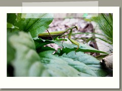 Aleksandra_Bigorajska_zdjęcie2