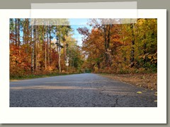 Anna_Wierzbicka_zdjęcie2 (2)