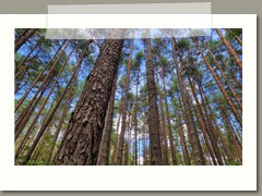 Tobiasz_Aleksandrowicz_zdjęcie1 (1)