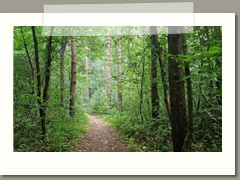 Tobiasz_Aleksandrowicz_zdjęcie1 (2)