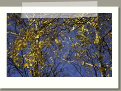 Zofia_Wilk_zdjęcie1