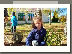 Przedszkolaki sadzą cebulki kwiatów