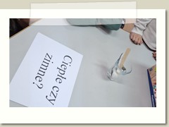 Projekt Mali odkrywcy - zadanie 3